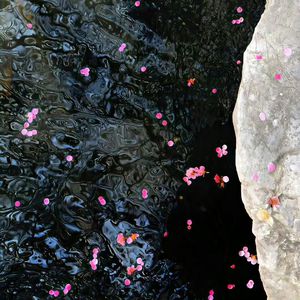 成人国产精品㊙️欧美高清
